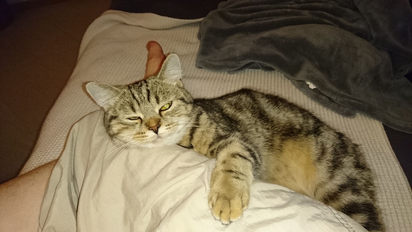 MILLI
